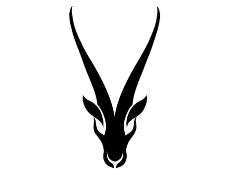 Chiru